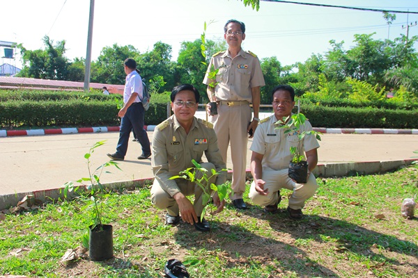 Image description